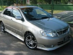 Накладка на передний бампер Toyota Corolla