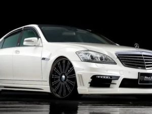 Обвес wald black bison Mercedes S-Class (W221)