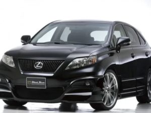 Комплект обвеса Wald Black Bison Lexus RX (bra040)
